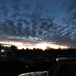 Meet your Posher, Gracie